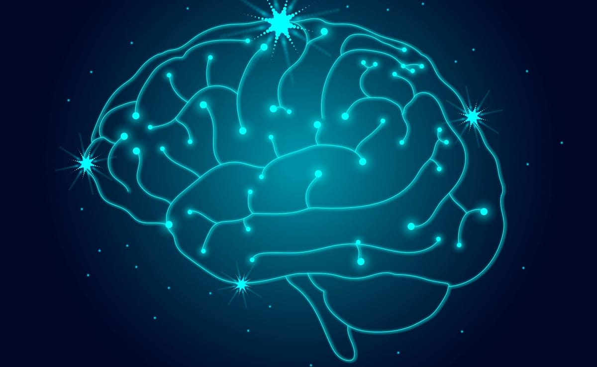 La Créatine : Bien Plus qu'un Simple Complément Musculaire - Découverte de ses Effets Révolutionnaires sur le Cerveau