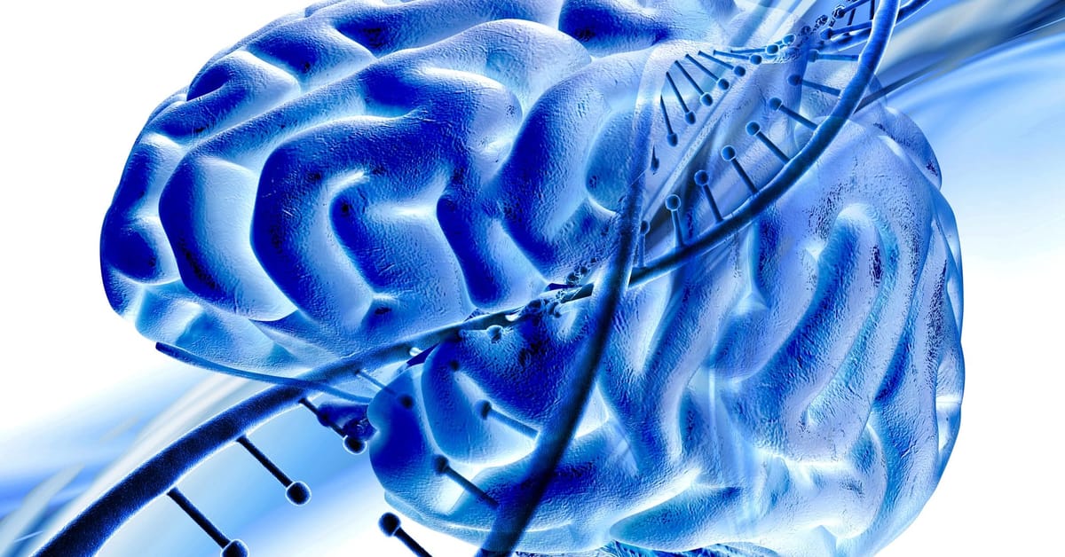 Microbiote et dépression : quand une bactérie intestinale influence nos hormones