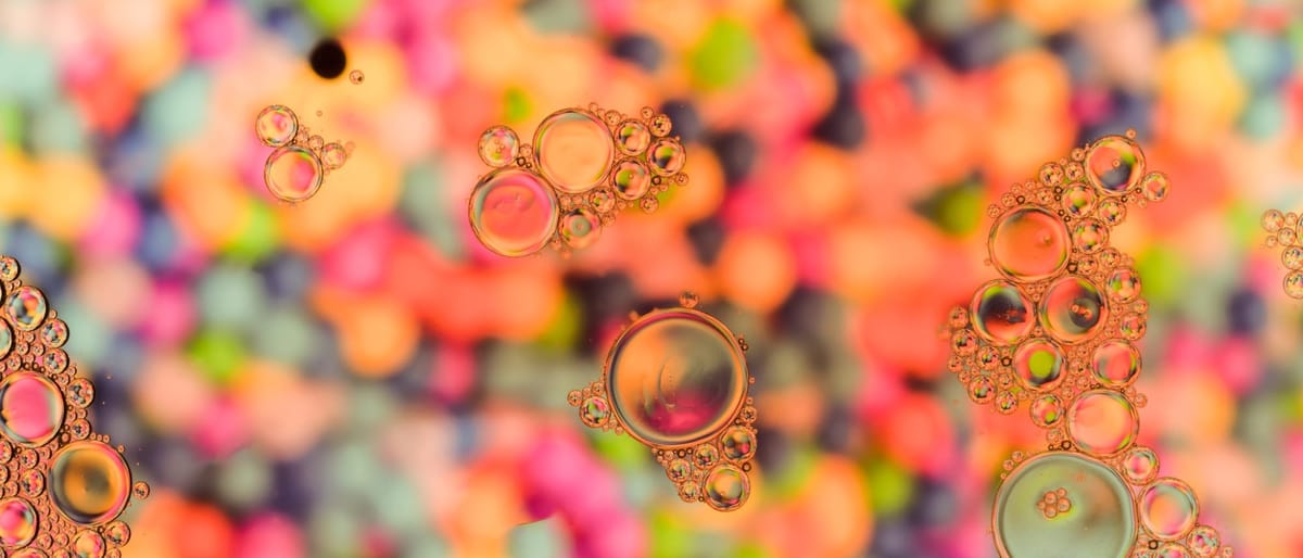 Polyphénols, microbiote et rythmes biologiques : un nouveau paradigme pour la santé cérébrale ?