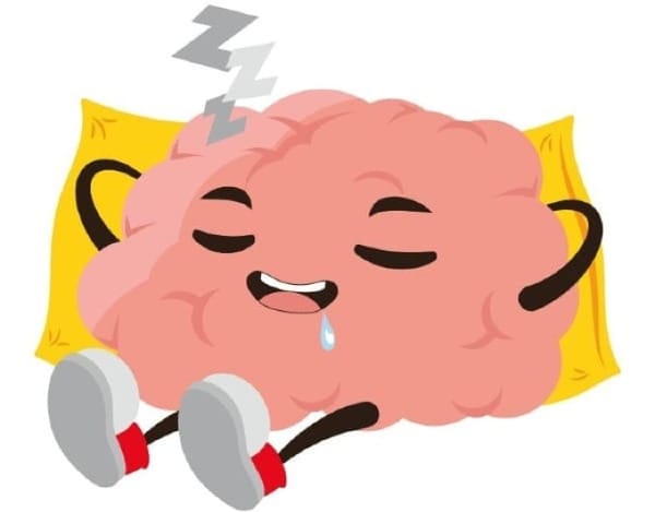 Sommeil - Partie 4 - Sommeil et santé du cerveau : prévenir Alzheimer et Parkinson