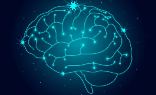 La Créatine : Bien Plus qu'un Simple Complément Musculaire - Découverte de ses Effets Révolutionnaires sur le Cerveau